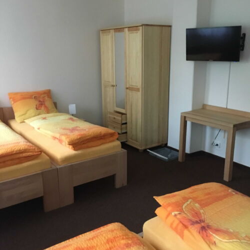 2-Room Apartment for 8 Persons with Shower and Kitchenette