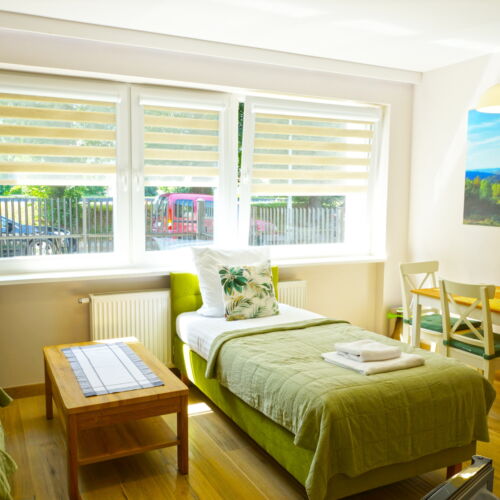 Apartament 2-osobowy na piętrze z widokiem na jezioro z 1 pomieszczeniem sypialnianym