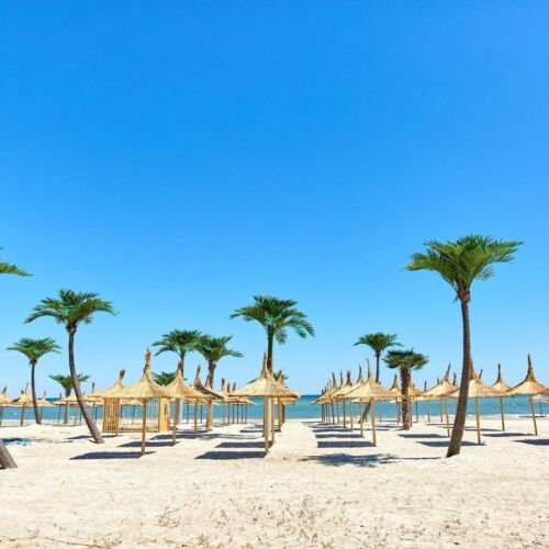 Apartament deluxe exclusive cu 2 camere pentru 4 pers.