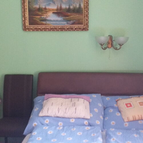 Apartament cu 1 camera pentru 3 pers.