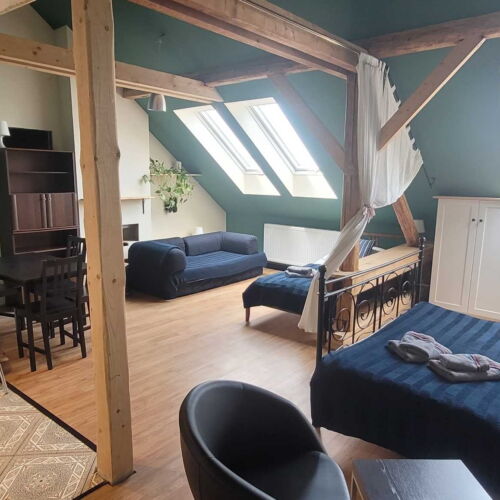 Pokoj se sprchou s vlastní kuchyní pro 3 os. (s možností přistýlky)