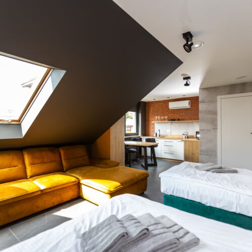 Apartman se sprchou s vlastní kuchyňkou pro 4 os. s 1 ložnicí