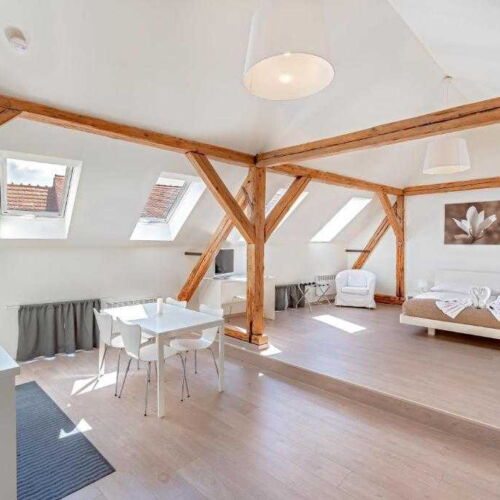 Deluxe Apartman se sprchou s manželskou postelí s 1 ložnicí