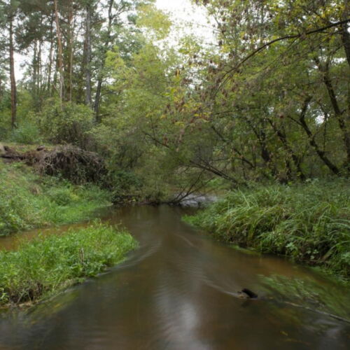 Domek letniskowy 6-osobowy 