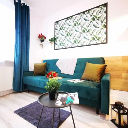 Apartament 2-osobowy z 1 pomieszczeniem sypialnianym