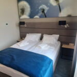 Superior Gold Twin Room