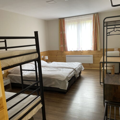 Camera cvadrupla la parter cu vedere spre pădure