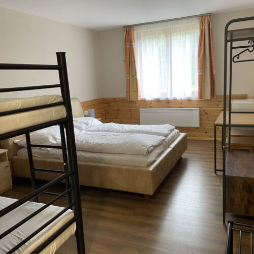 Camera cvadrupla la etaj cu vedere spre pădure