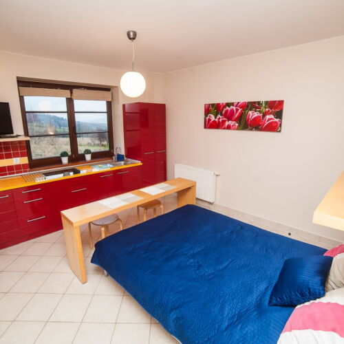 Studio Mountain View 1-Room Apartment for 2 Persons