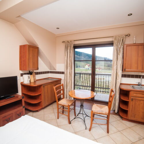 Studio Mountain View 1-Room Apartment for 2 Persons