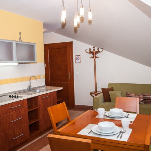 Studio Mountain View 1-Room Apartment for 4 Persons
