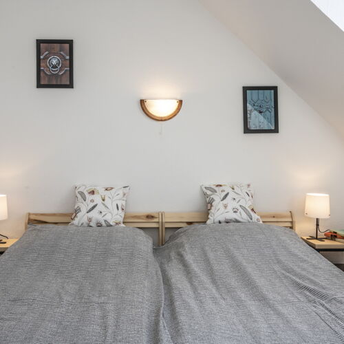 Camera twin la mansardă cu panoramă