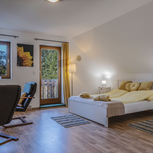 Camera dubla la mansardă cu vedere spre grădină