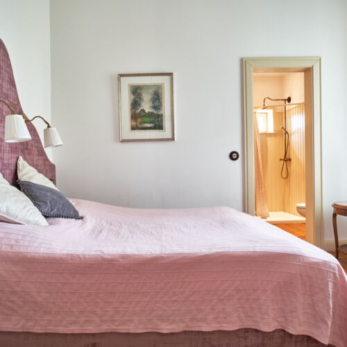 Pokój 2-osobowy Bronze z widokiem na park