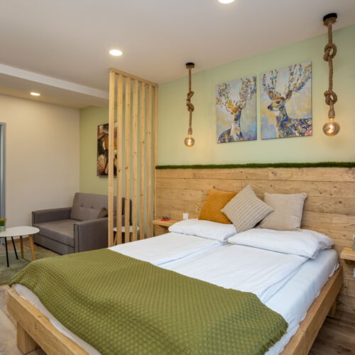 Pokój 2-osobowy na parterze Studio