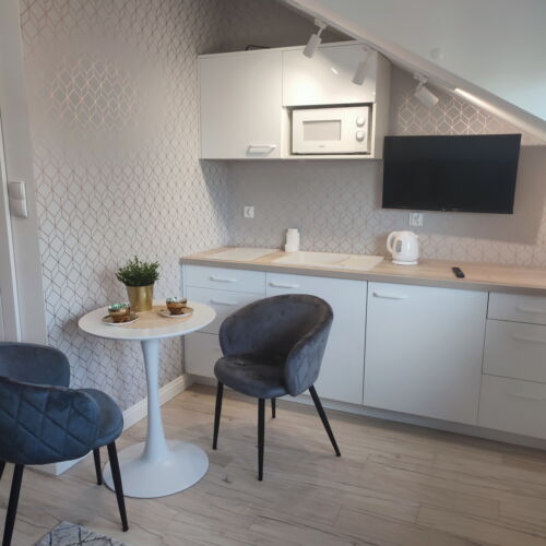 Apartament cu 1 camera pentru 2 pers.