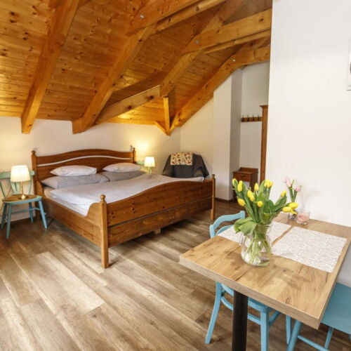 Apartament cu duș pentru 2 pers.