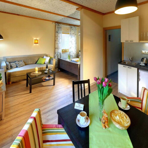 Apartament studio cu duș pentru 2 pers. (se poate solicita pat suplimentar)