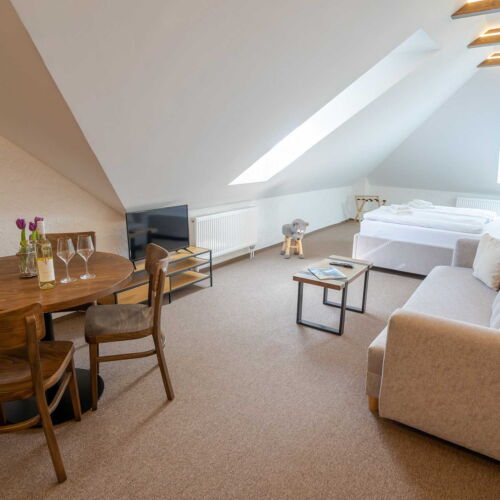 Apartament studio cu duș pentru 2 pers. (se poate solicita pat suplimentar)