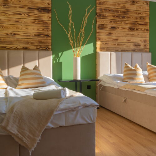 Apartament 6-osobowy Przyjazny podróżom rodzinnym z widokiem na góry z 2 pomieszczeniami sypialnianymi