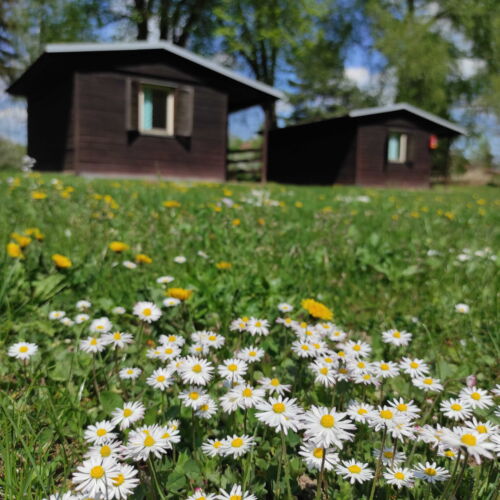 Chata (jako celek) se společnou kuchyňkou  pro 2 os.