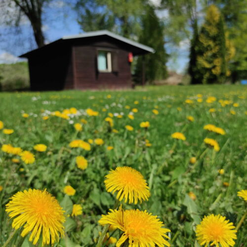 Chata (jako celek) se společnou kuchyňkou  pro 3 os.