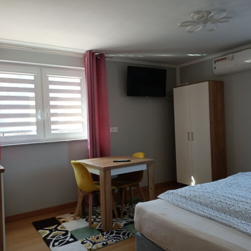 Camera twin business Plus