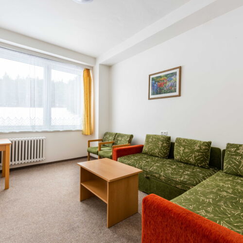 Pokoj bezbariérový s vanou pro 2 os. (s možností přistýlky)