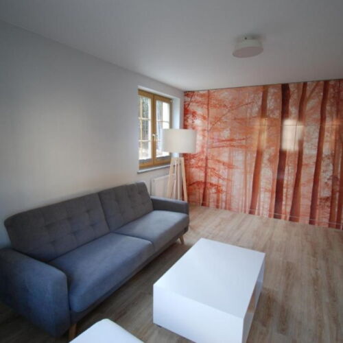 Apartament 3-osobowy na piętrze z balkonem (możliwa dostawka)