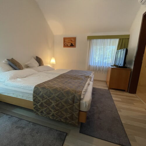 Camera twin accesibil(a) persoanelor cu dizabilitati cu vedere spre curte