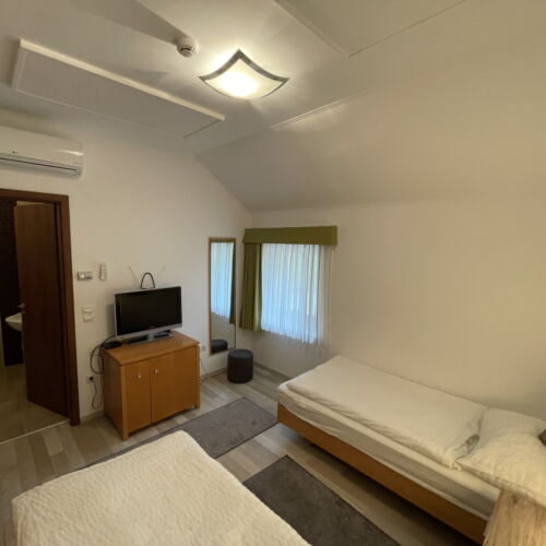 Camera twin economy cu vedere spre curte