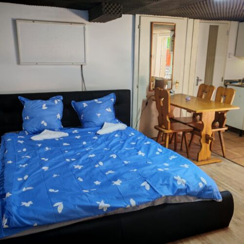 Twin Room with Shower and Garden (extra beds available)