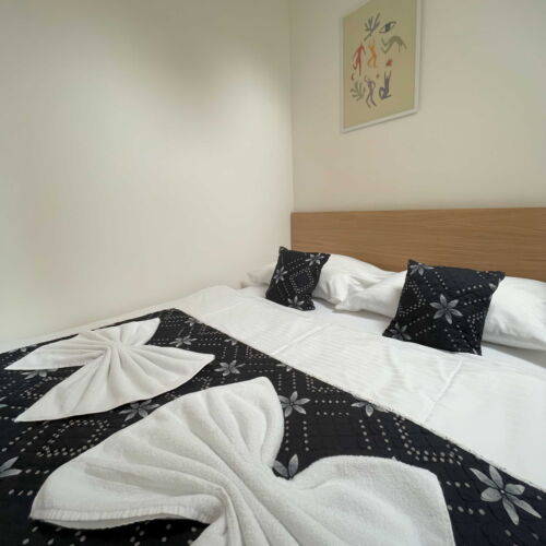 Apartament cu duș cu chicinetă proprie cu 1 camera pentru 2 pers. (se poate solicita pat suplimentar)