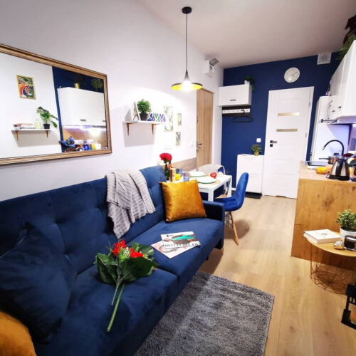 Apartament cu 1 camera pentru 2 pers.