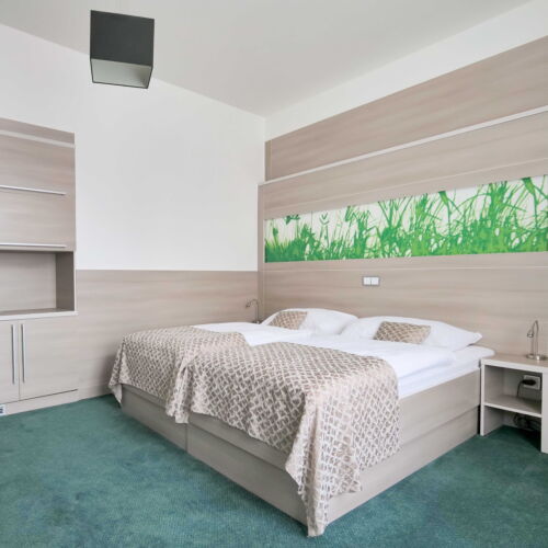 Camera twin cu terasă