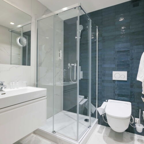 Camera single deluxe cu duș