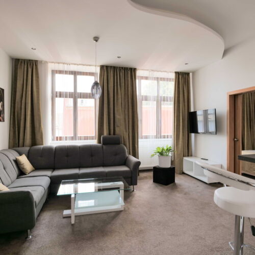 1-Room Apartment for 2 Persons ensuite with Bathtub