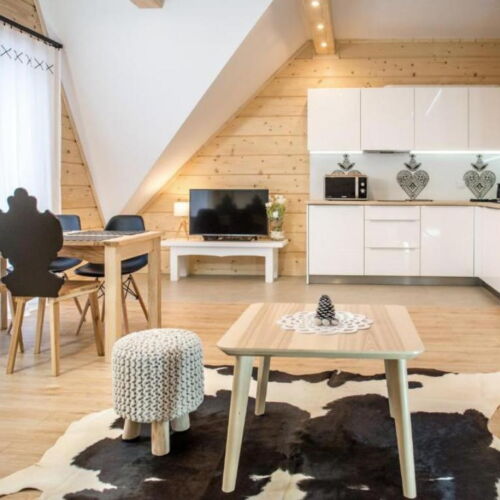 Apartament cu 2 camere pentru 4 pers.