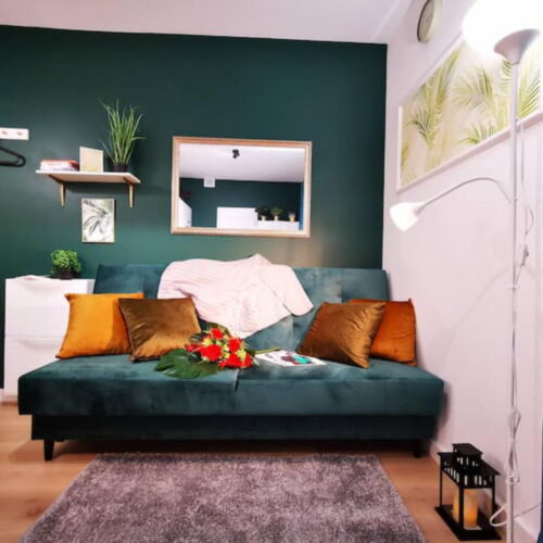 Apartament cu 1 camera pentru 2 pers.