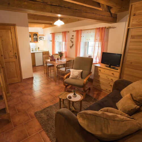 Apartman se sprchou s vlastní kuchyňkou pro 4 os. s 1 ložnicí (s možností přistýlky)