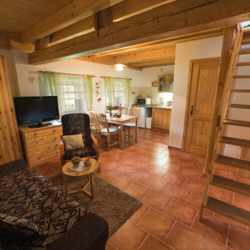 Apartman se sprchou s vlastní kuchyňkou pro 4 os. s 1 ložnicí (s možností přistýlky)