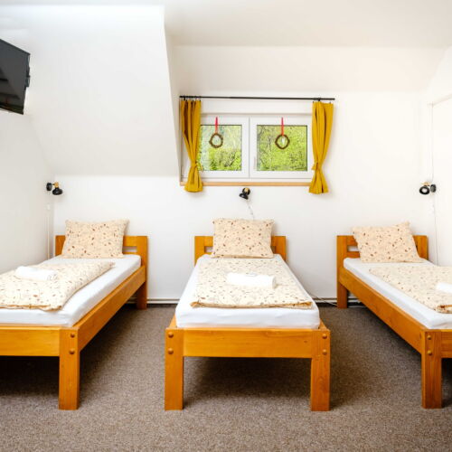 Air Conditioned Triple Room with Shower