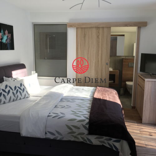 Studio Apartman s manželskou postelí s 1 ložnicí s výhledem na les (s možností přistýlky)