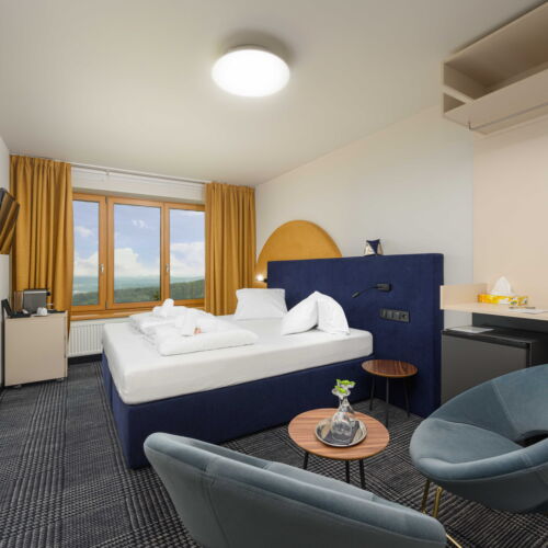 Superior Pokoj se sprchou pro 2 os.