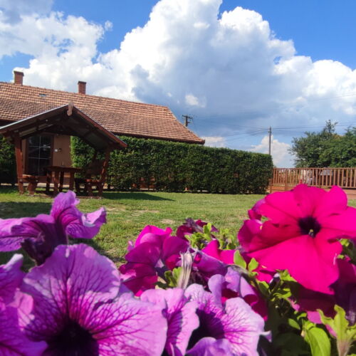 Apartament la parter cu grădină pentru 2 pers. (se inchirieaza doar integral)