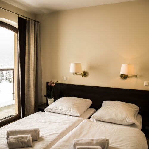 Standard Mountain View Twin Room