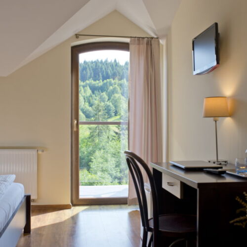 Forest View Premier Twin Room