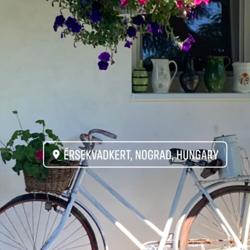 Erdgeschosses Vierbettzimmer mit Aussicht auf den Garten (Zusatzbett möglich)