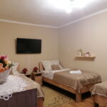 1-Room Apartment for 3 Persons ensuite