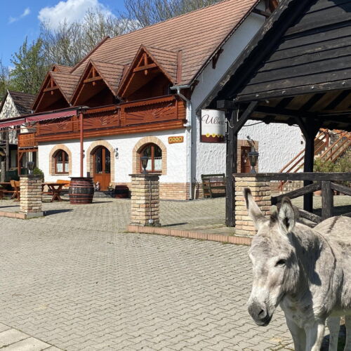 Pokój 3-osobowy Deluxe z panoramą